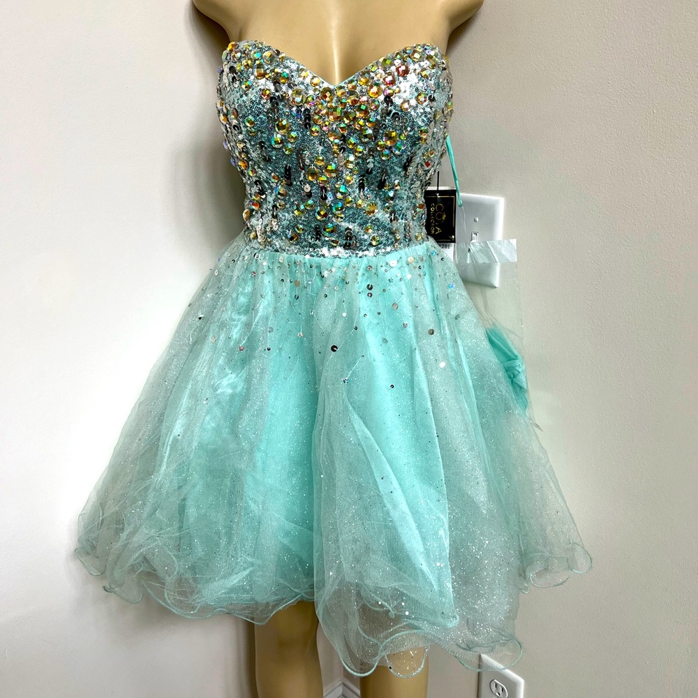 Coya mint jeweled top tulle dress